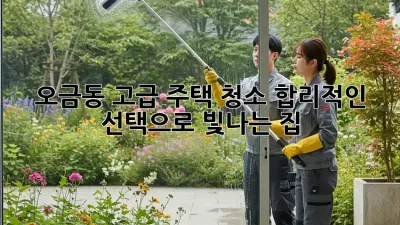 💎오금동 고급 주택 청소, ✨합리적인 선택으로 빛나는 집!