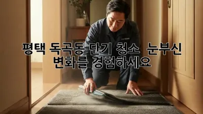 평택 독곡동 단기 청소, ✨ 눈부신 변화를 경험하세요! 🏡