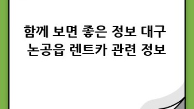 대구 논공읍 장기렌트카 꿀팁 총정리!